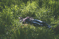 Man relaxing in tall green grass outdoors, enjoying nature and sunlight