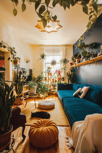 Sunlit living room with a blue sofa, houseplants, poufs, and wooden floors