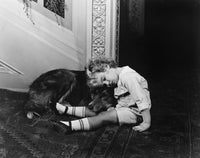 Young child sleeping on floor beside dog, vintage interior, cozy and peaceful atmosphere
