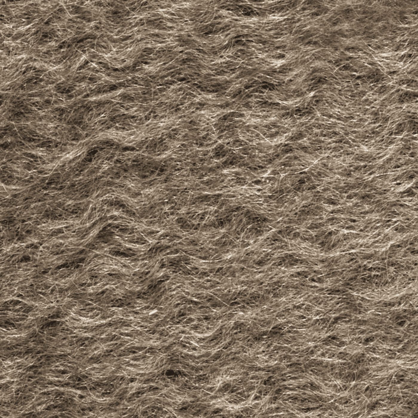 Mohair close up: the long, lustrous, wavy hair of the Angora goat.