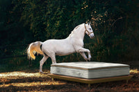 White horse standing beside a luxury mattress on a platform bed outdoors in nature
