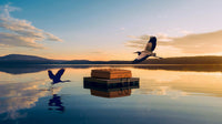 Luxury mattress on floating platform at sunrise with bird flying over calm lake
