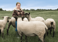 Young girl in plaid jacket standing in grassy field with flock of sheep, natural wool source