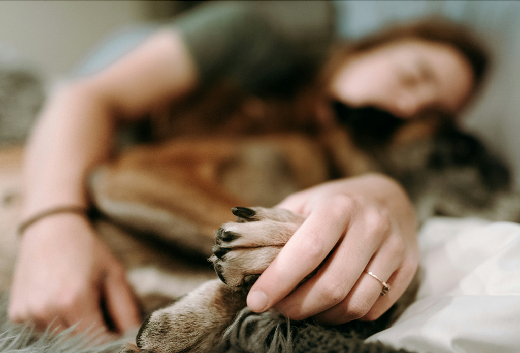Paws and Reflect: The Joyful Benefits of Napping with Your Pooch!