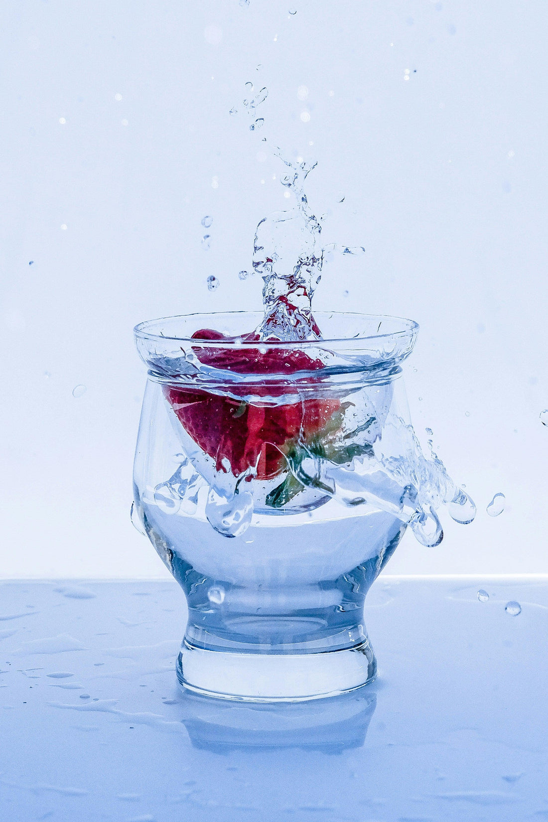 Red rose splashing into a clear glass of water, isolated on a light background