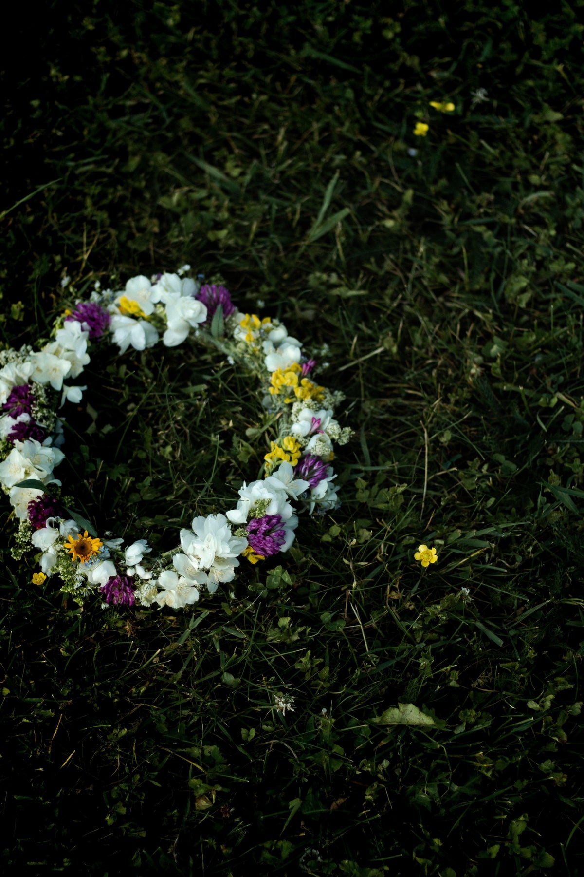 Flower crown with white, yellow, and purple blossoms on green grass outdoors