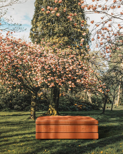 Dreamy - midsummer-milano