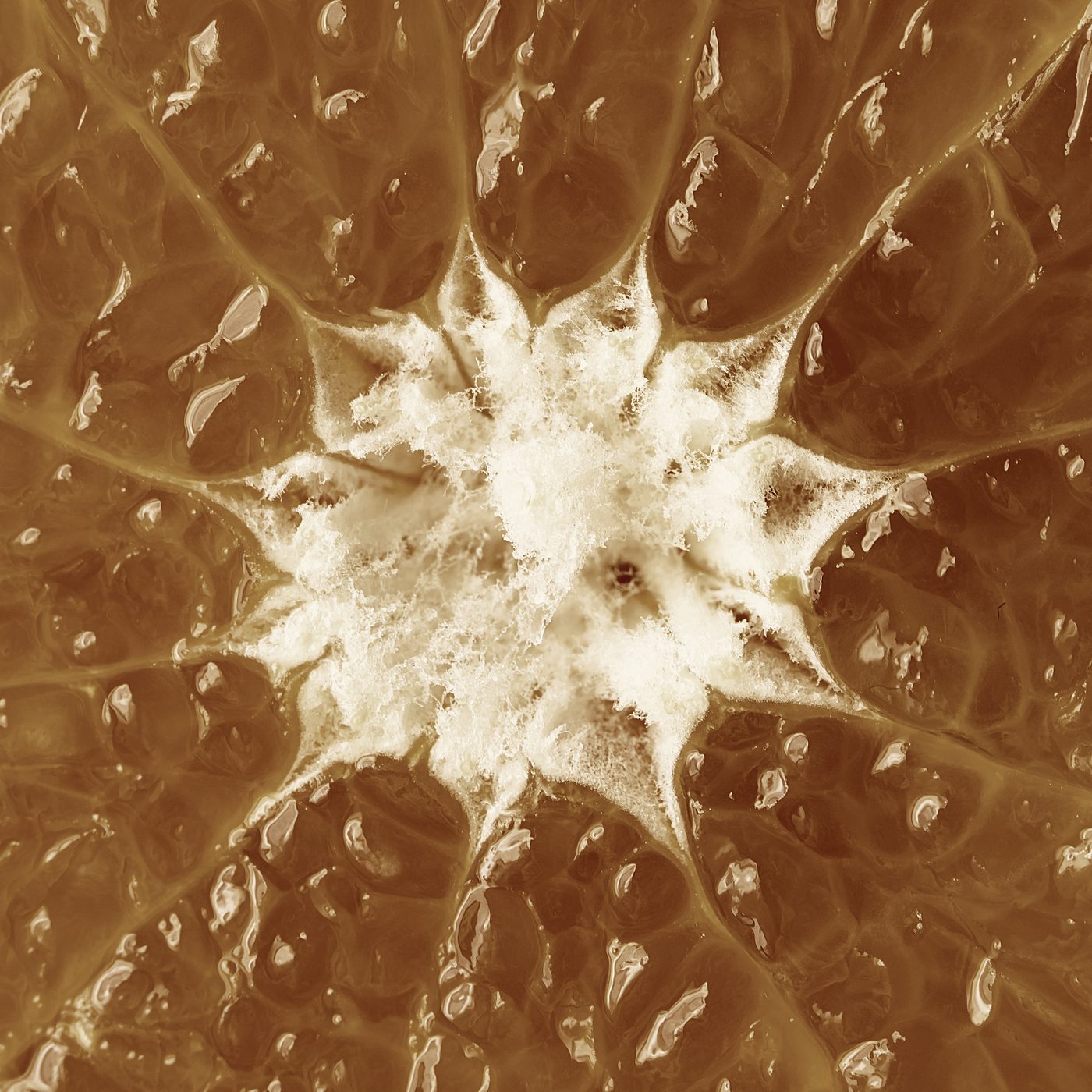 An orange cut across: the fruit whose peel becomes Orange Fiber.