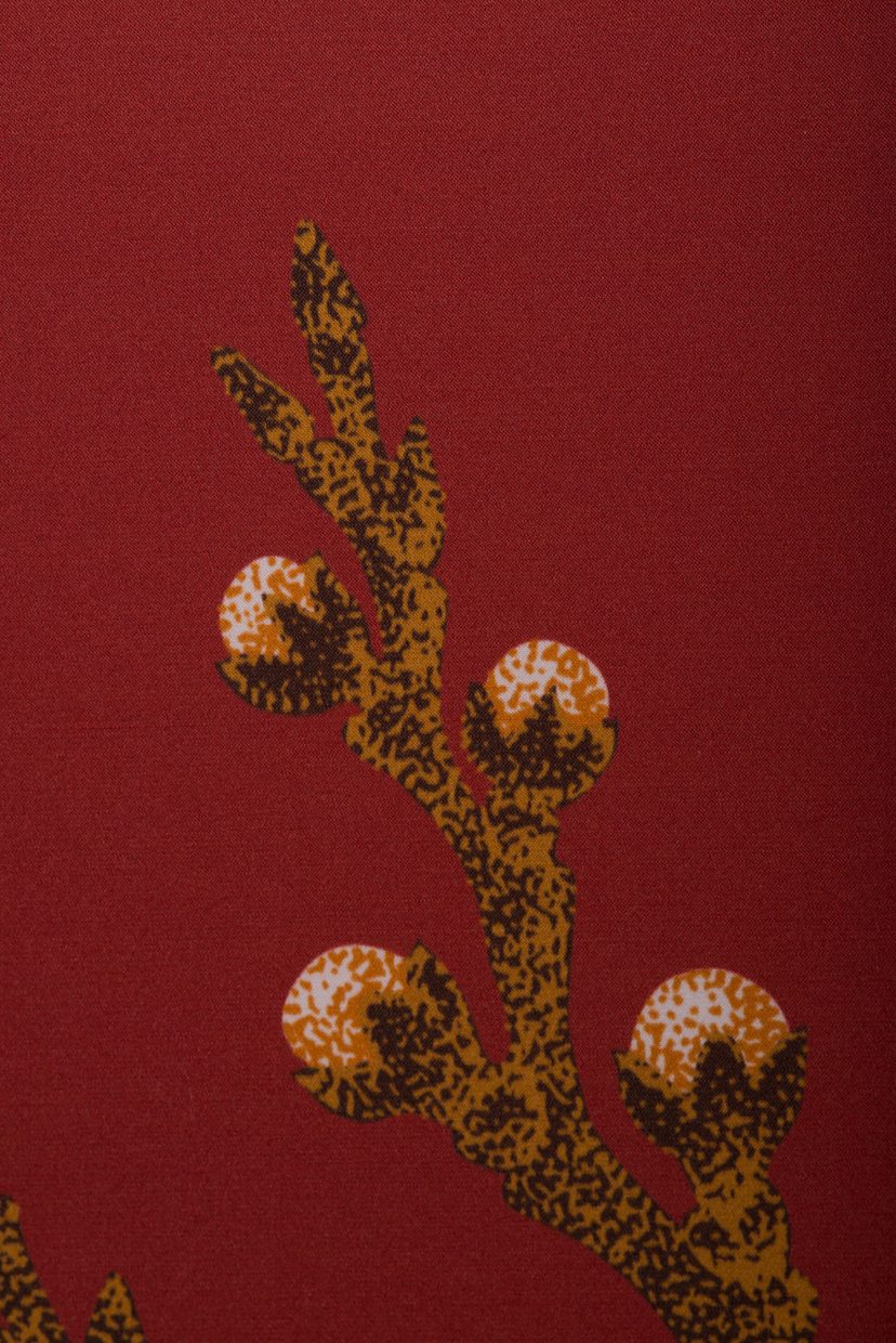 A golden branch on a red wall.